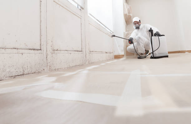 24/7 Emergency Mold Removal experts in Leander, TX
